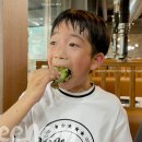 고선야채