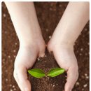 종합농약종묘사 이미지