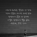 돈찌