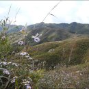 광덕1로10 이미지