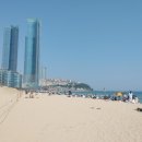 원조 초원 밀면 돼지국밥 이미지