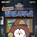 제주애서 이미지