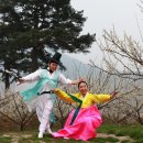 죽화로 Daum카페