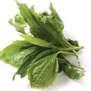 완산-148 이미지