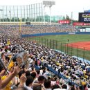 일본인에게 야구란 무엇인가 이미지