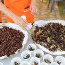 쎈언니푸드 이미지