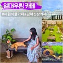 햇님농장 | 김해 열대우림 카페 식물 고양이 체험 아이랑 가볼만한 카페