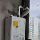 사파동255 이미지