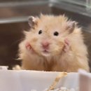 무념무상 이미지