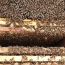 호운농장 이미지