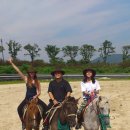 라온랜드 주식회사 이미지