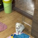 라파엘의료기 이미지