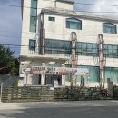 중앙동로 | [강릉] 페인트 총 서바이벌 후기 /강릉 중앙시장 뿌시고 온 내돈내산 솔직리뷰