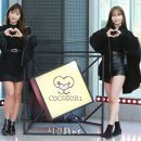 코코포토스튜디오 서울경제