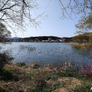 밀마루맛짜장 이미지