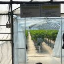 성희농장 이미지