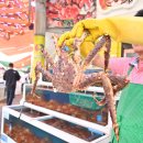 기장대게 이미지