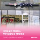 강서지금약국