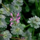 해파랑길 4코스 이미지