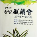 제10회 풍란 작품 전시회 관람 후기