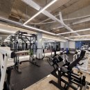 매드볼릭휘트니스 이미지