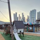 아쿠아플라넷 일산 | 일산 아쿠아플라넷 평일 꿀팁 후기 🐠 바다코끼리 1열 직관 성공!