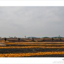 세상목장 이미지