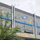 진도 울그미 왕꽈배기 이미지