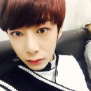 야옹야옹 이미지