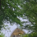 카누글램핑 캠핑장 | 자작나무뷰 프라이빗 감성 숙소: 강원도 홍천 오페라 럭셔리글램핑