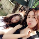 이디야커피거제 이미지