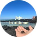 씨유제주아라아이진점 | 짧지만 강렬했던 가을 제주1박2일 여행