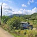 벽진농장 이미지