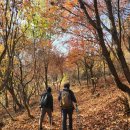 전북 익산 천호산(501m)을 유점마을 주차장에서 이미지