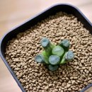 만상농장 이미지