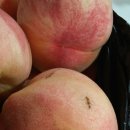 갈촌농장 이미지