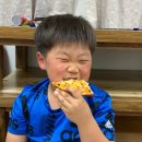 조양도장(태권도장) 이미지