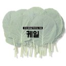 원진식품 이미지