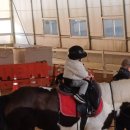 교하운정스카이승마장 이미지