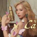 베트남노래 - 경주시 양정로225번길 23 | 베트남노래