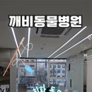 깨비동물병원 이미지