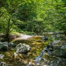 장유사 공중화장실 이미지