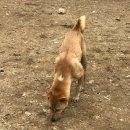 바둑이연구소 이미지