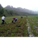 포2리마을회관 이미지