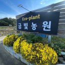 김포금빛농원