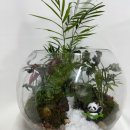 꽃그리고 | 왜관꽃집 예쁜 다육그리고꽃 방문 후기