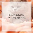 안녕한의원 이미지