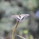 용와산성 이미지