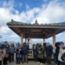 지에스25 정자한라점 | 제주] 벚꽃이 없어도 뭐라도 그릴 수 있는 우리 _ 신촌리, 한라수목원, 녹산로(25년 1월, 2월, 3월 정모)