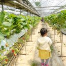 신하농장 이미지